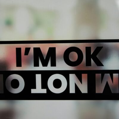 PAQUETE VINIL PREMIUM